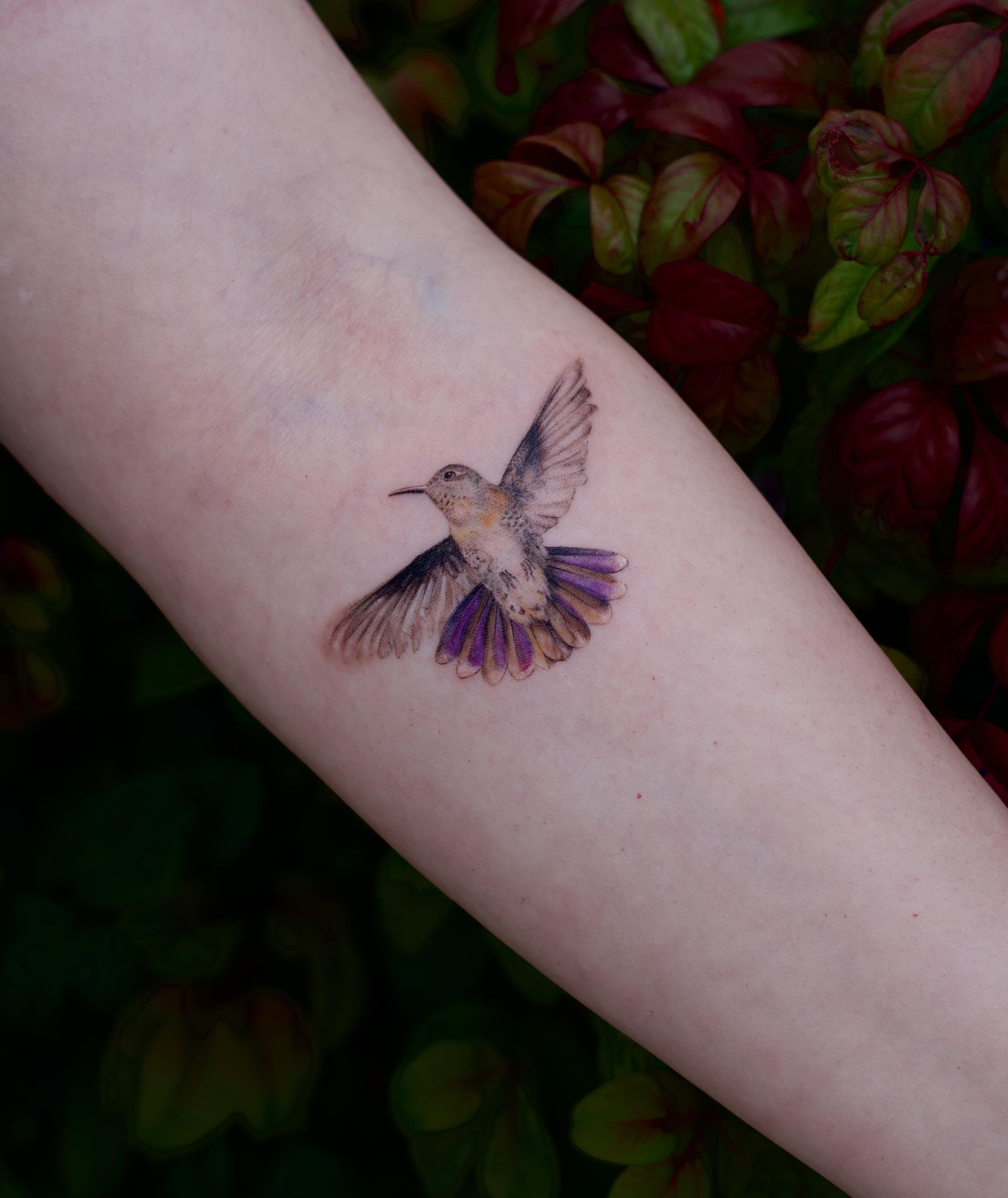 Hummingbird in Flight