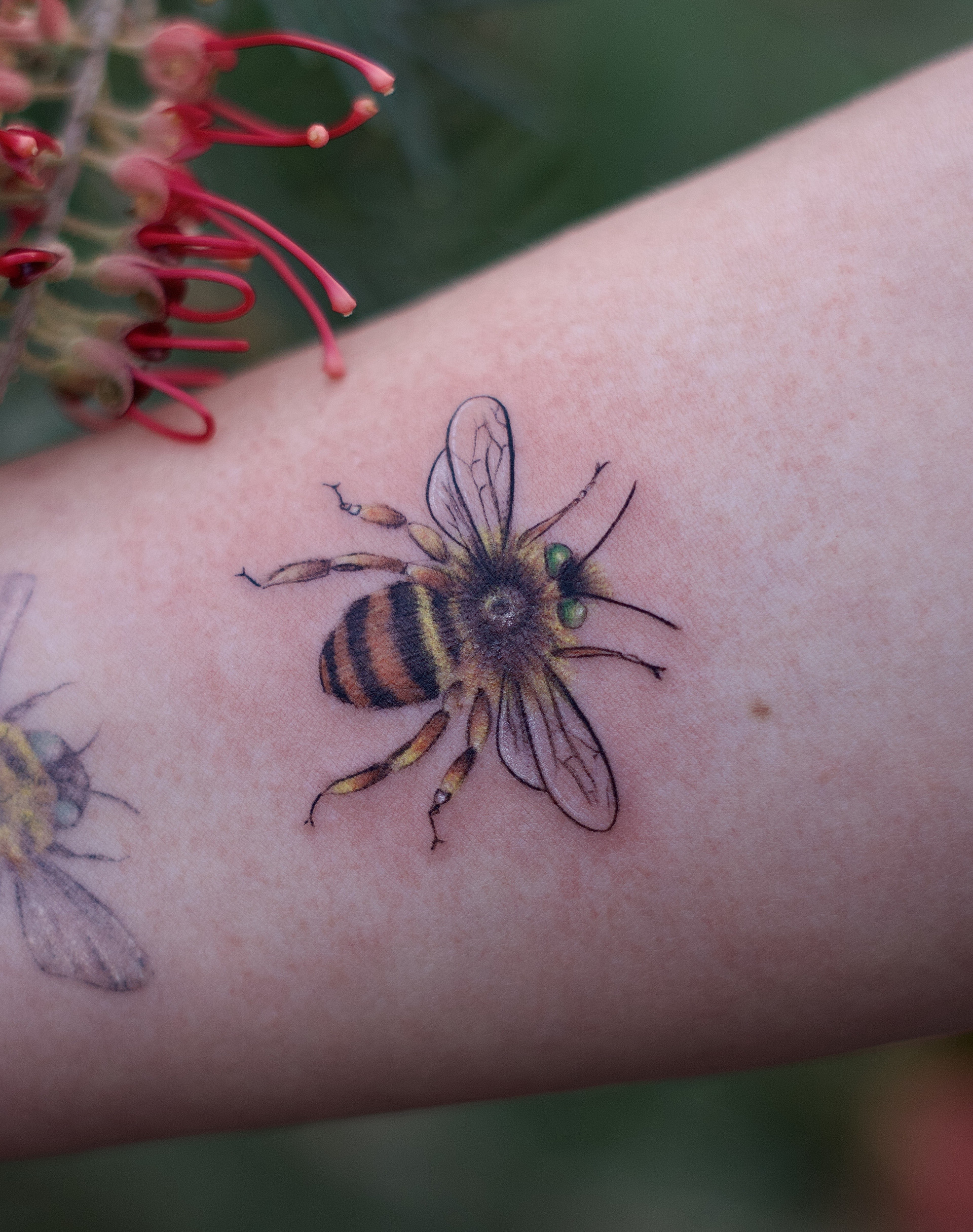 Detailed Honeybee